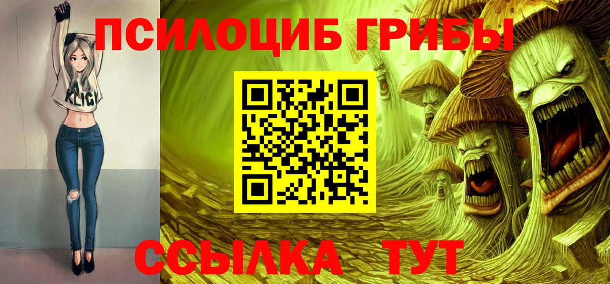 Уссурийск  Галлюциногенные грибы прущие грибы  Вход с VPN  Псилоцибиновые грибы Psilocybine cubensis 